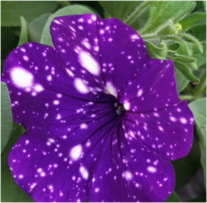 Снимок экрана 2026-04-19 175813